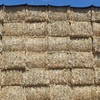 'New Season' Canola Hay 8x4x3 Bales