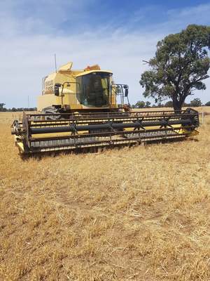 New Holland TX66 & Honeybee Front
