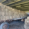 Pasture Hay Small Square Bales