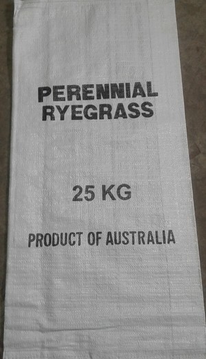 Perennial Ryegrass