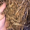 2nd Grade Vetch Hay for sale in 8/4/3’s ex or del