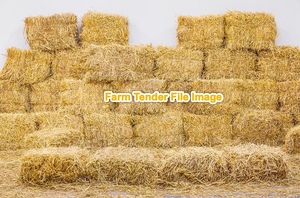 Barley straw Small Squares