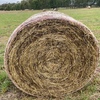 Clover & Rye Grass 350kg 4x4 Round Rolls