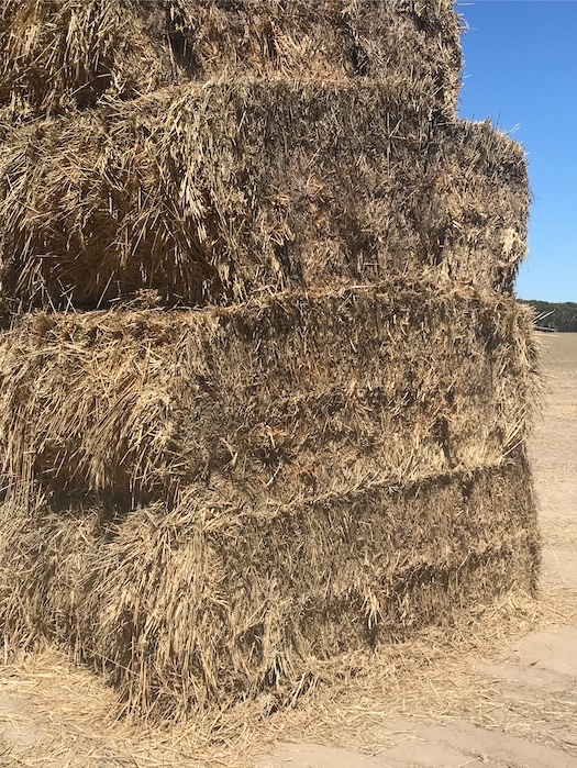 1500 Wheaten Hay 8x4x3 Bales (Weather Damaged)