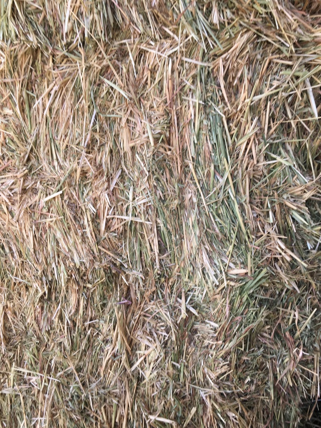 Vetch Hay   2500 Bales Shedded