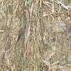 'New Season' Canola Hay 8x4x3 Bales