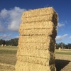 Oaten hay large squares