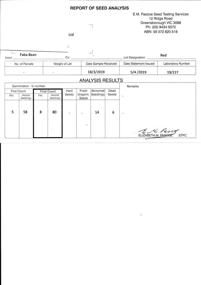23-25mt Faba Beans Seed
