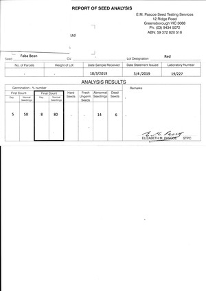 23-25mt Faba Beans Seed