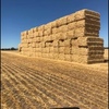 200mt Oaten Straw 500kg 8x4x3 Bales