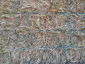 Wheaten Hay 8x4x3 9.9 ME