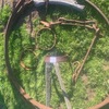 Under Auction - Wagon Wheels 