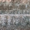 Irrigated Clover and Rye Small Square Bales