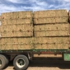 120mt Vetch Hay 650kg 8x4x3 Bales