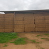 Lucerne Hay 500kg 8x4x3 Bales