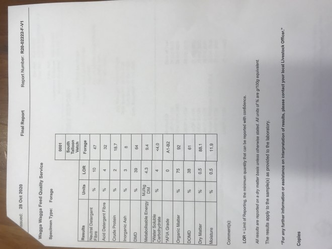 50mt Vetch Hay 8x4x3 Bales