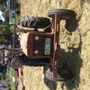 Under Auction - International 434 Tractor - 2% + GST Buyers Premium On All Lots 