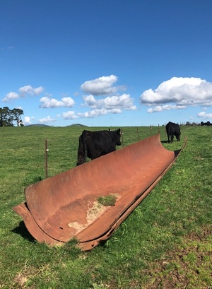 Steel feed troughs