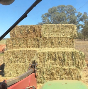 Road Train Load Of Wheaten Hay
