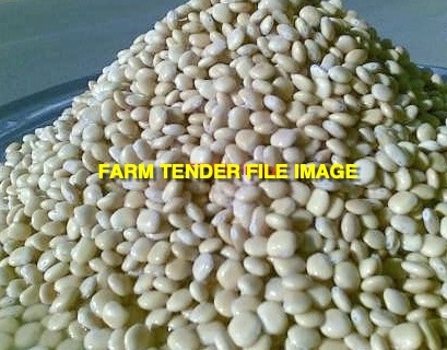 50mt Albus Lupins