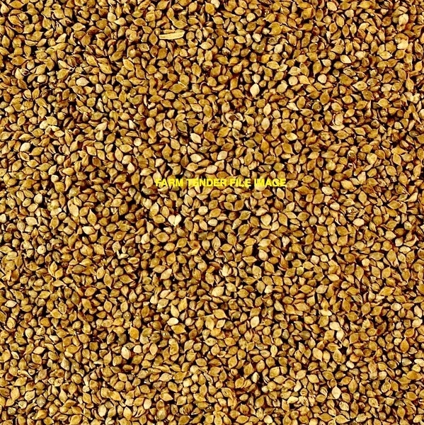 WANTED Japanese Millet