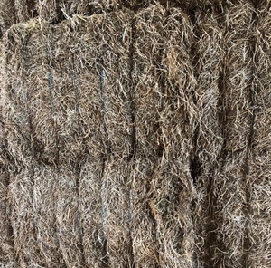 2nd Grade Vetch Hay for sale in 8/4/3’s ex or del