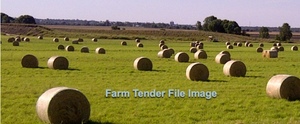Pasture Hay  4 ft Rolls
