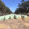 Clover Rye Silage Bales