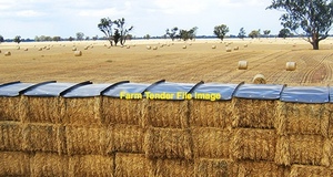 Windrow irrigation wheat straw 