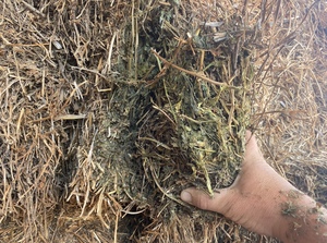 350mt Vetch Hay 550kg 8x4x3 Bales (New Season)