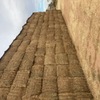 New Season Vetch Hay 8x4x3 Bales Feed Tested