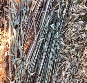 64 x Oaten Rolls 5 x 4