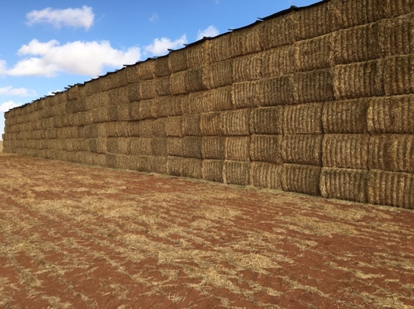 Barley straw 580kg bale Av.