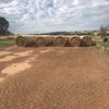 Oaten Hay 5x4 Round Bales (New Season)