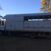 UD 1988 5/6 HORSE TRUCK