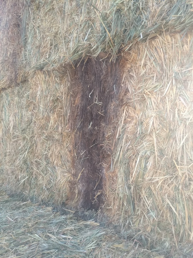 100 mt wheaten hay