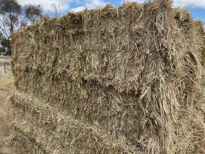 200mt Barley Hay 700-750kg 8x4x3 Bales 