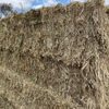 200mt Barley Hay 700-750kg 8x4x3 Bales 