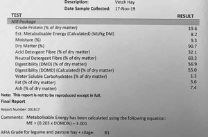 400m/t New Season Vetch Hay Off the Baler