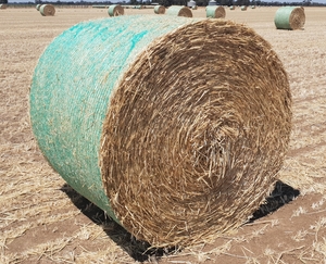 Wheaten Hay 5x4 Bales