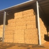 wheat/rye hay