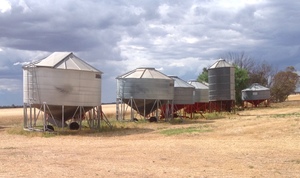 25mt Field Bins