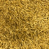 Graded Hay Oats for sale