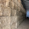 600mt Barley Straw 540kg Header Trail 