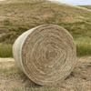 PASTURE HAY - 5X4FT ROUNDS - WEED FREE
