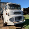 1973 Leyland Chieftan Tipper