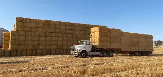 600mt Barley Straw 550kg 8x4x3 Bales ex farm