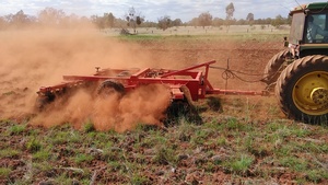 Cougar Power Offset Disc - 36 Disc