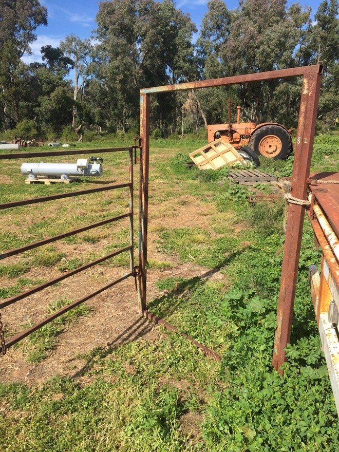 Cattle Swing Gate Panel