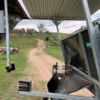 Perkinz Crutching Trailer